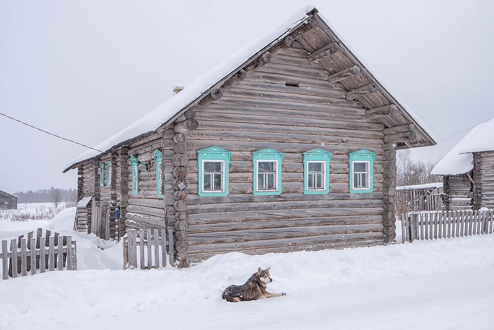 ����: ������� ��������