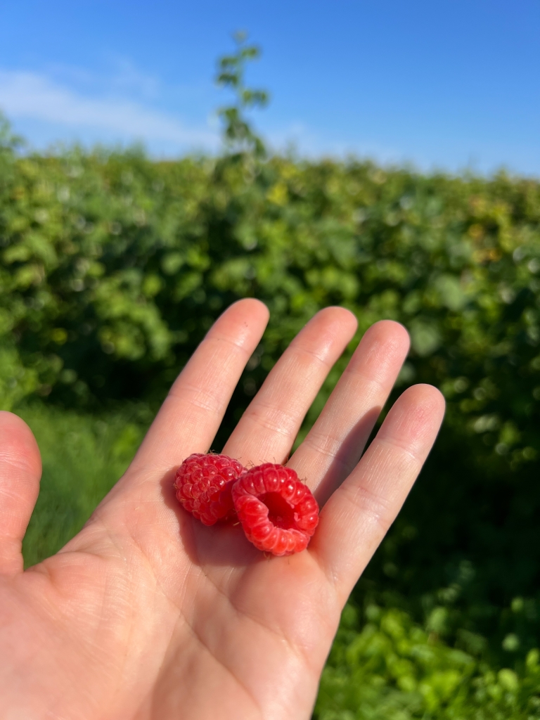 ��������� ����