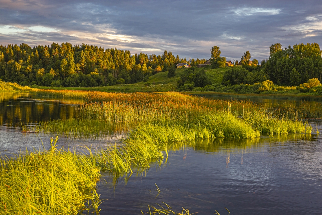 ������� ���������-��������� ����� � ���� ������ (�. ������).jpg