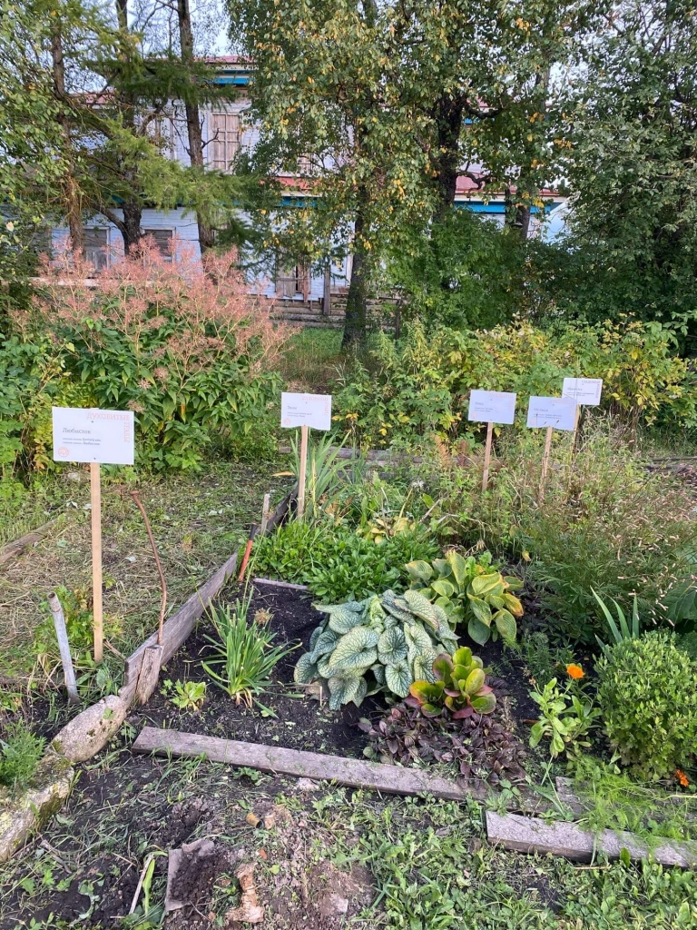 ����� ����������.jpg 3 (1).jpg