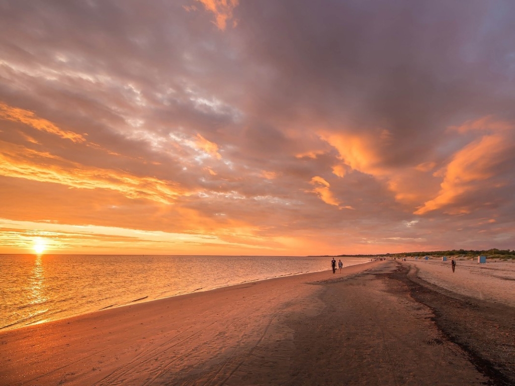 ������� ��������.jpg