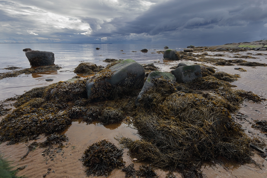 ��������� �������. �� ����� ���� (���-������).JPG