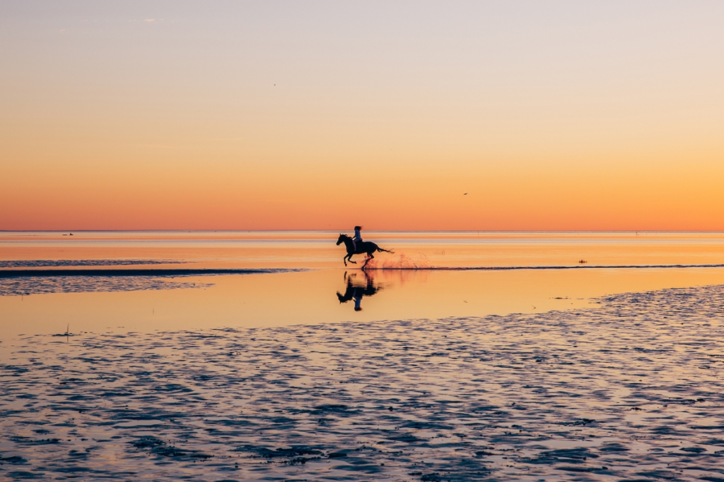 ����� �������-�� ������ (����� ����, ����� ����, ������������).jpg