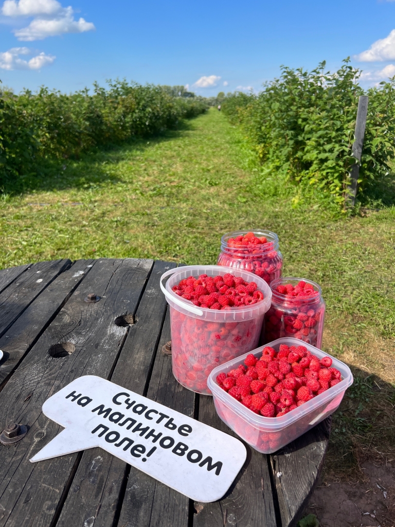 ��������� ����