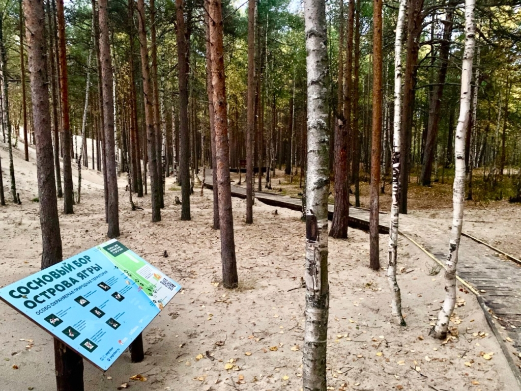 ������� ��������� �����_.jpg