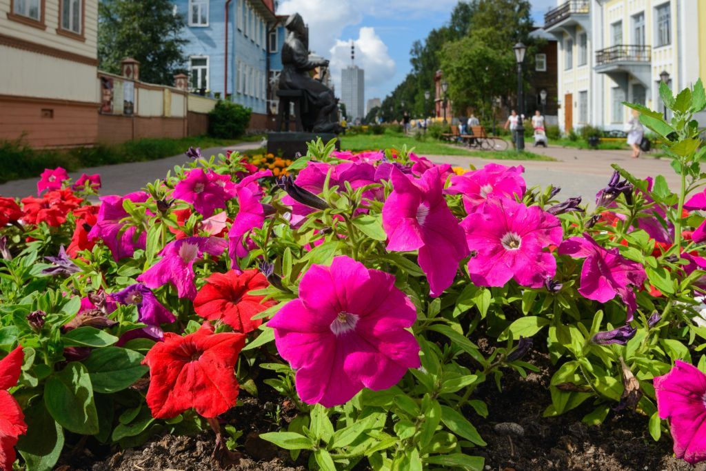 ������������� ���������_������ ����.jpg