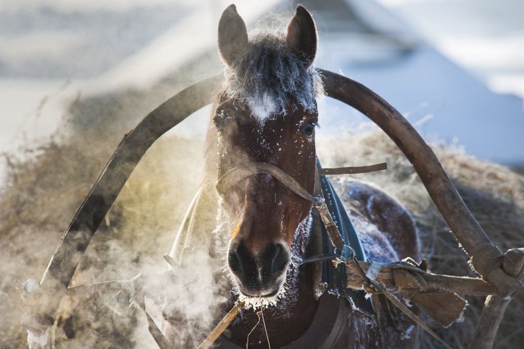 �. �������� 4.jpg