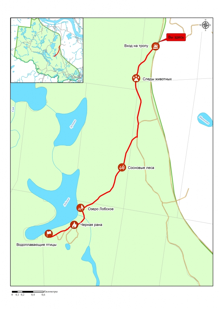 ������� �����.jpg