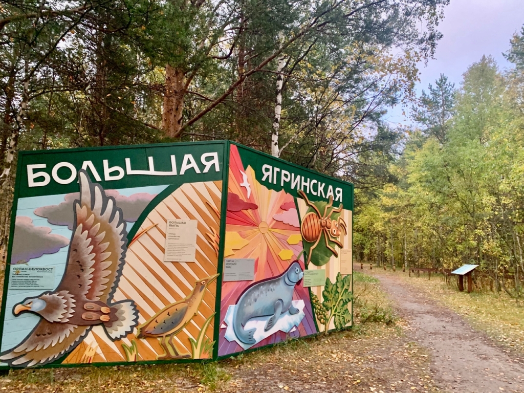 ������� ��������� �����.jpg